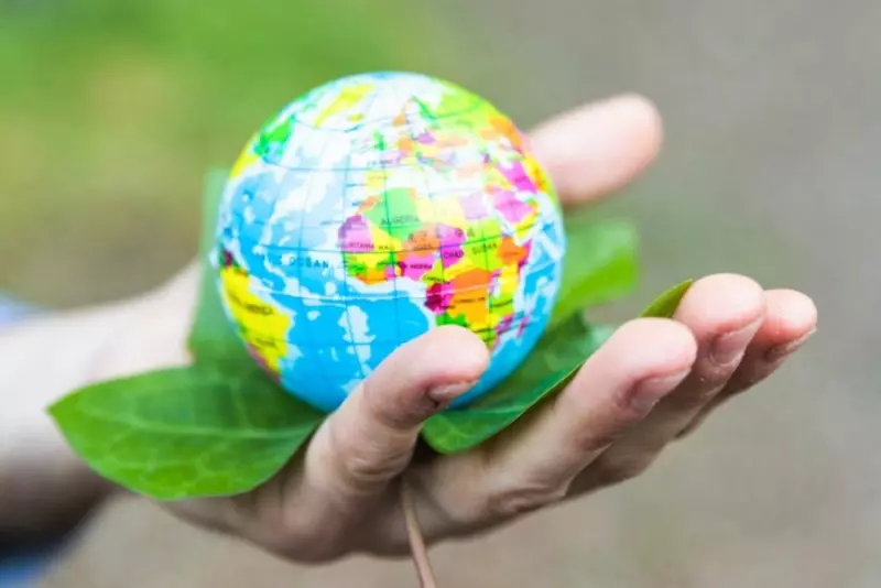 zdjęcie wyróżniające Dzień Ziemi przypomina o odpowiedzialności za środowisko